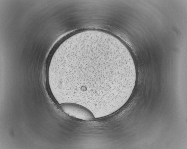 X0000114520984200911161313