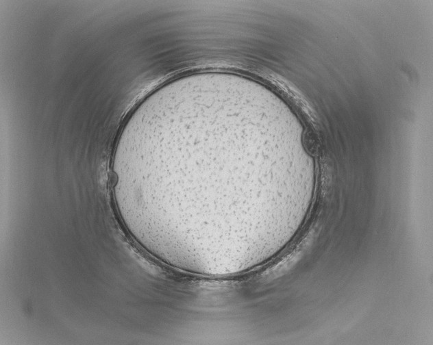 X0000114520985200911161313