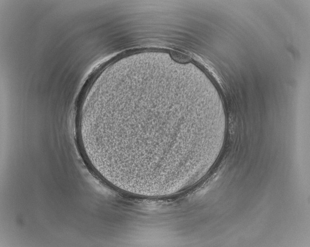 X0000114520987200911161313