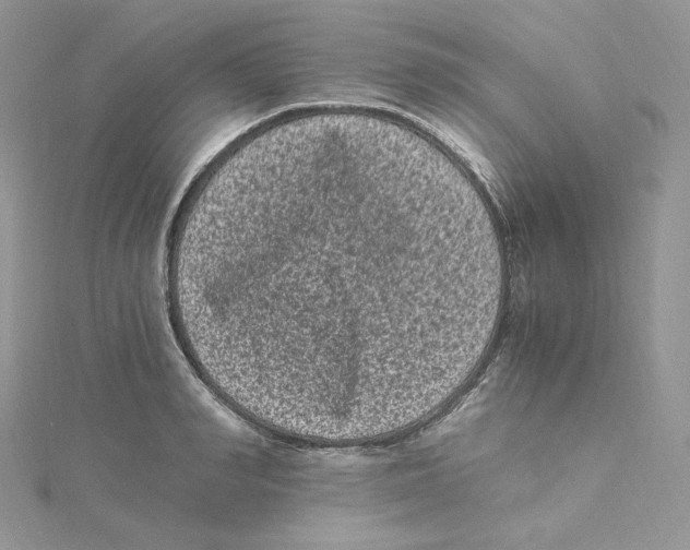 X0000114520990200911161313