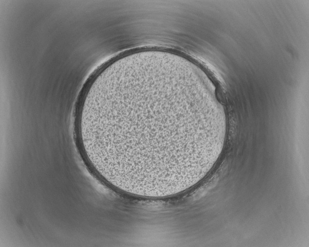 X0000114520991200911161313