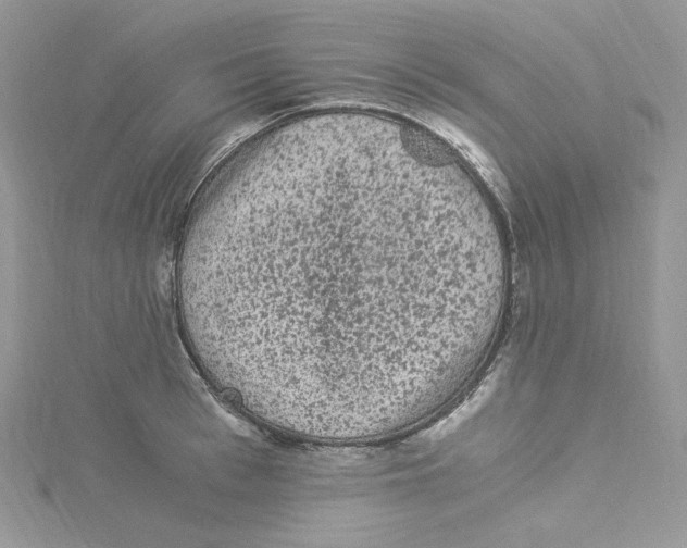 X0000114520993200911161312