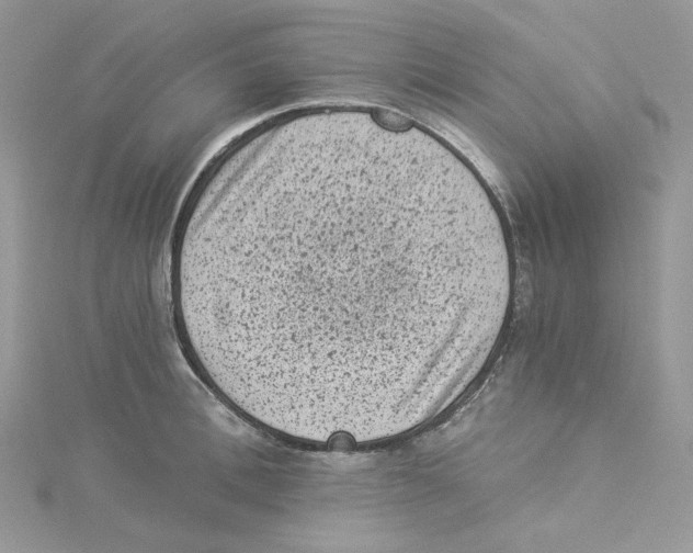 X0000114520996200911161312