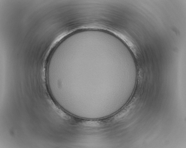 X0000114520998200911161312