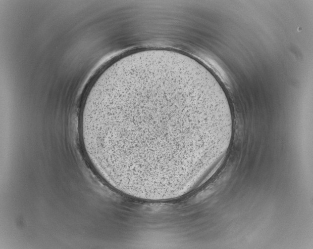 X0000114521000200911161312