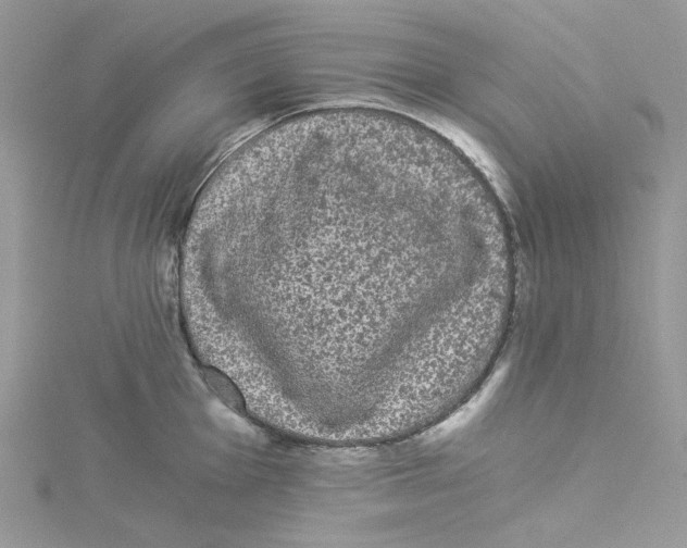 X0000114521001200911161312