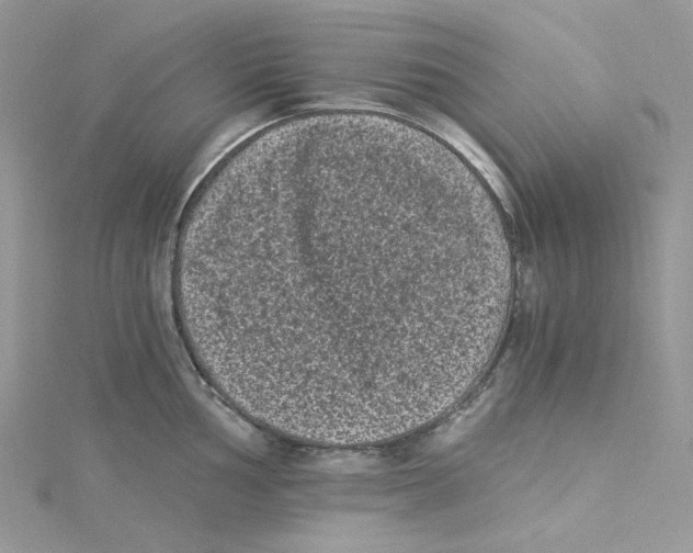 X0000114521002200911161312