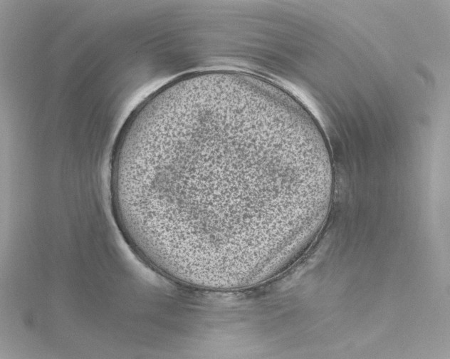 X0000114521003200911161312