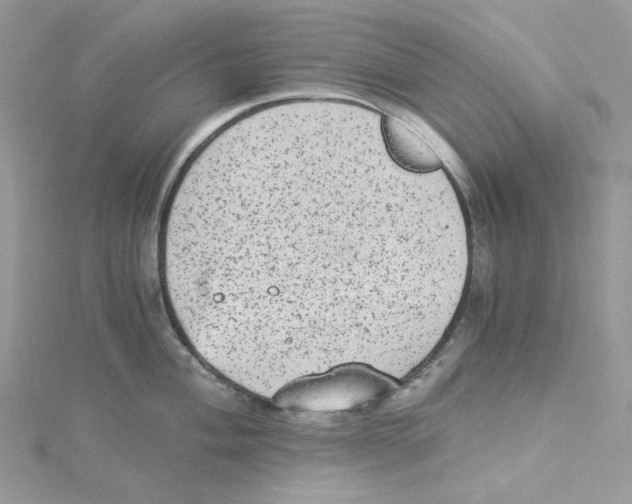 X0000114521004200911161312