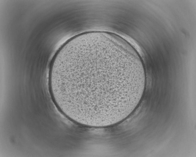 X0000114521006200911161312