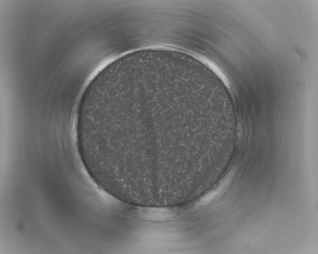 X0000114521007200911161312