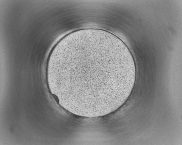 X0000114521008200911161312