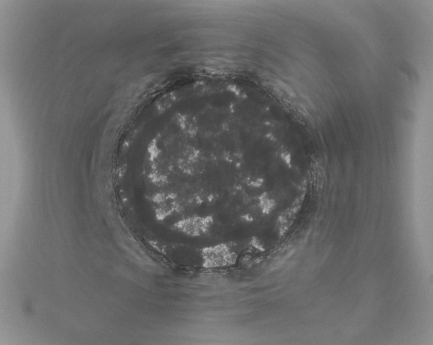 X0000114521009200911161311