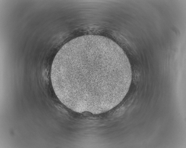 X0000114521010200911161311