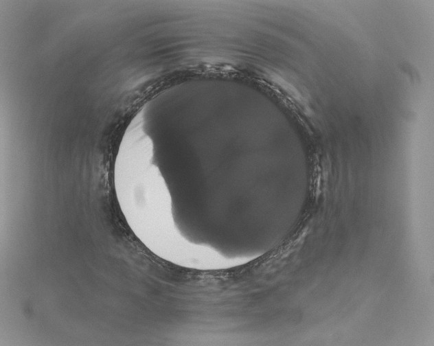 X0000114521013200911161311