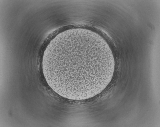 X0000114521016200911161311