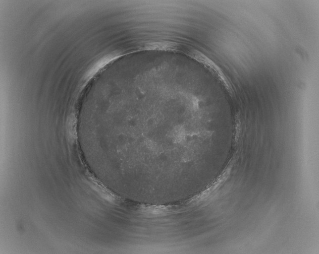 X0000114521019200911161312