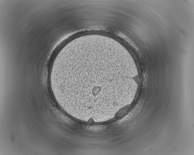 X0000114521021200911161312