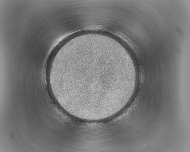 X0000114521022200911161312