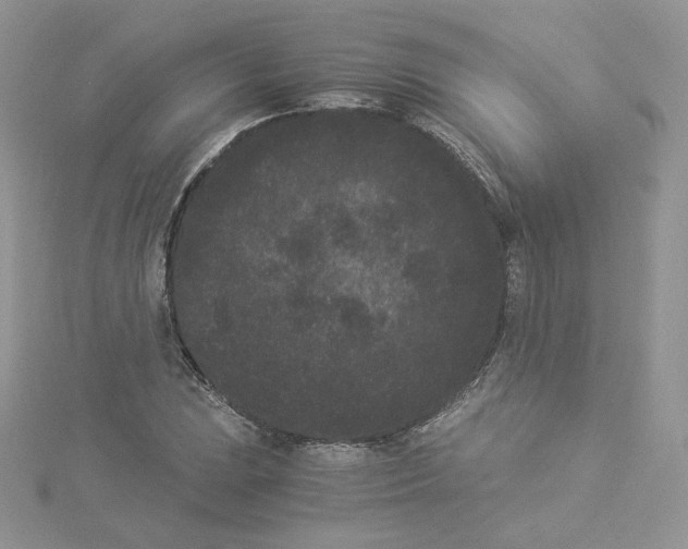 X0000114521023200911161312