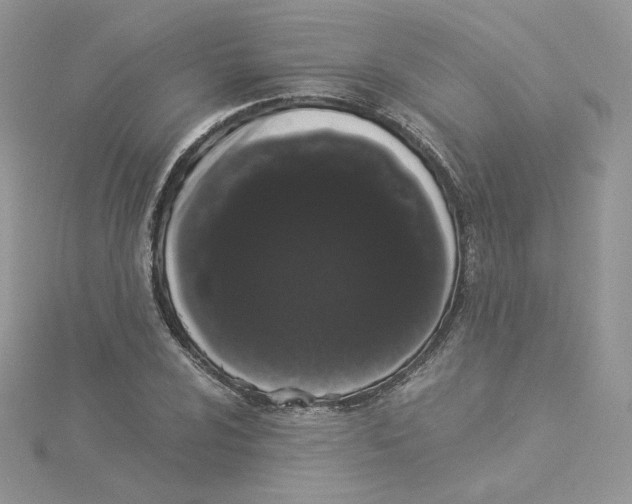 X0000114521024200911161312