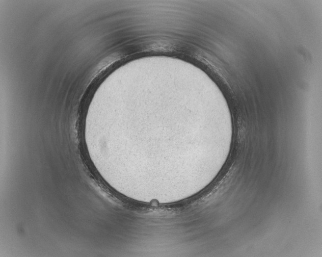 X0000114521026200911161312