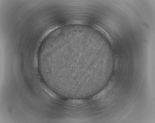 X0000114521027200911161312