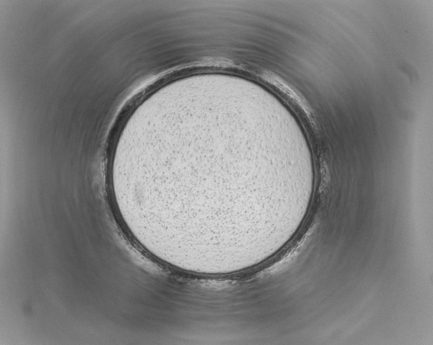 X0000114521029200911161312