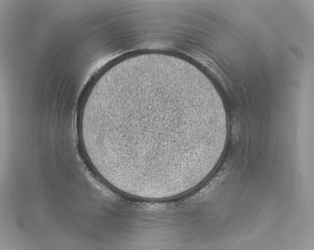 X0000114521030200911161312