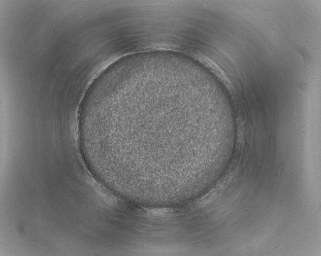 X0000114521031200911161312