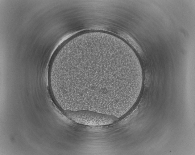 X0000114521036200911161312