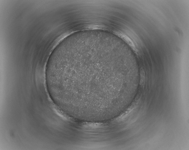 X0000114521039200911161312