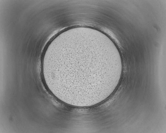 X0000114521040200911161312