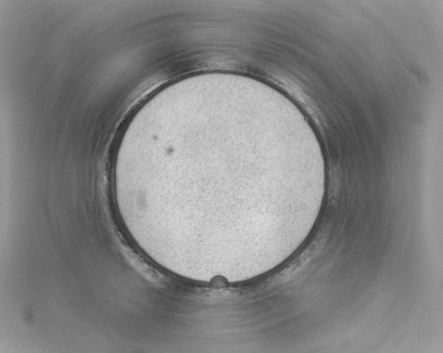 X0000114521042200911161312