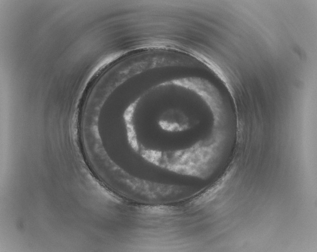 X0000114521045200911161312