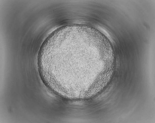 X0000114521047200911161312