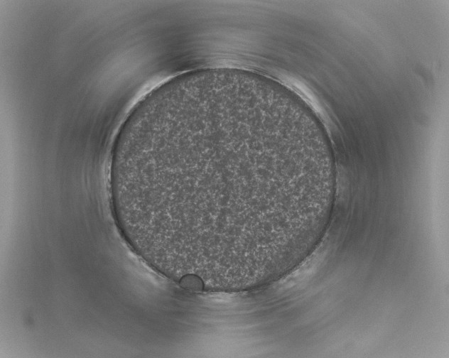 X0000114521048200911161312