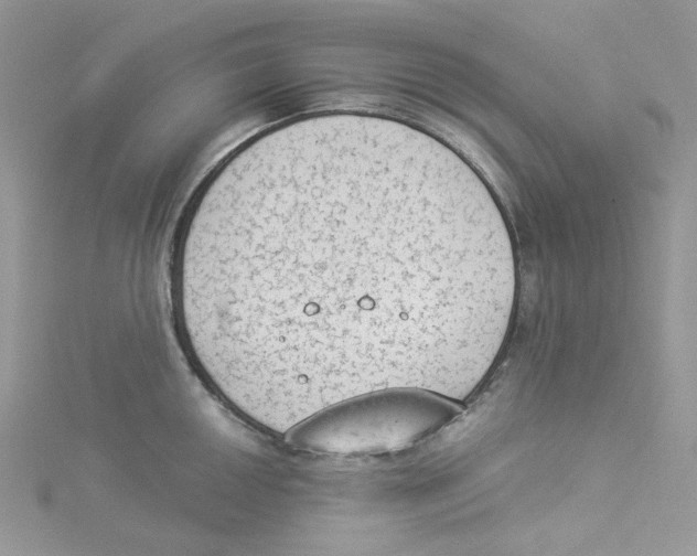 X0000114521050200911161312