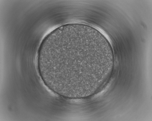 X0000114521053200911161312