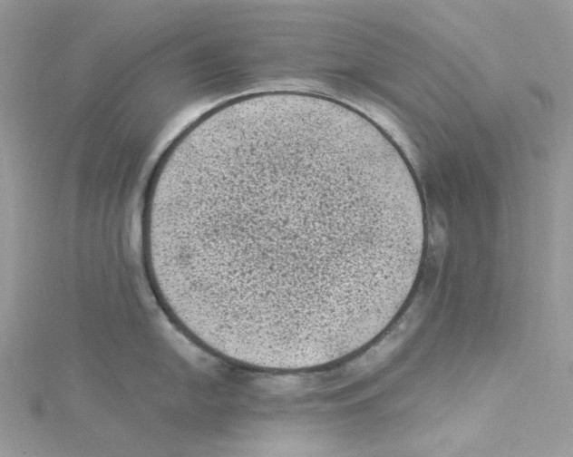 X0000114521054200911161312