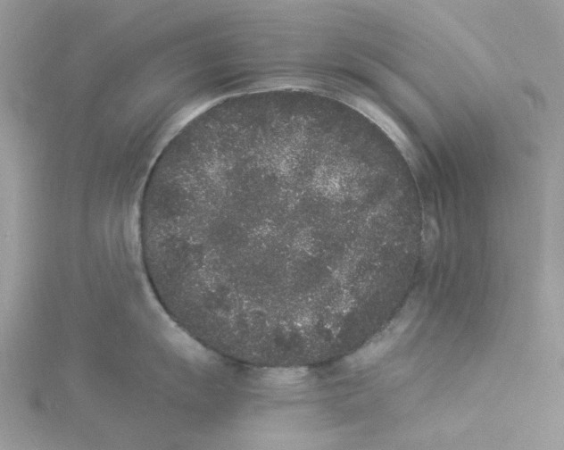 X0000114521055200911161312