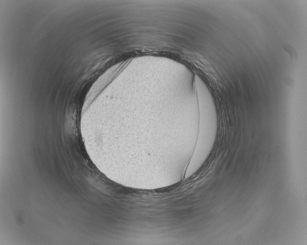 X0000114521060200911161311