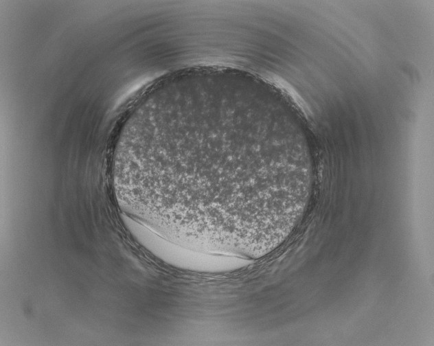 X0000114521064200911161311