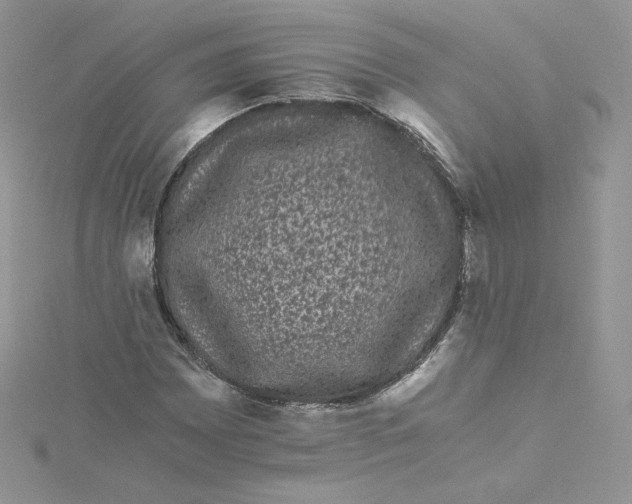 X0000114521065200911161311