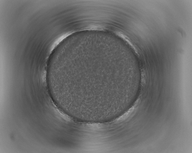 X0000114521066200911161311