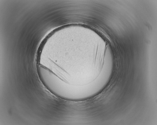 X0000114521068200911161311