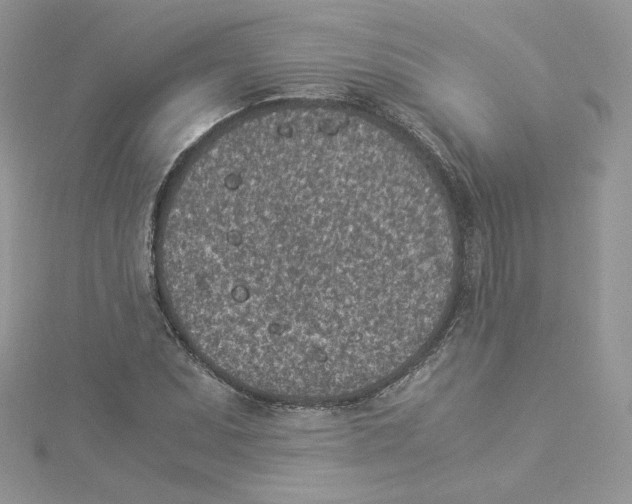 X0000114521071200911161311