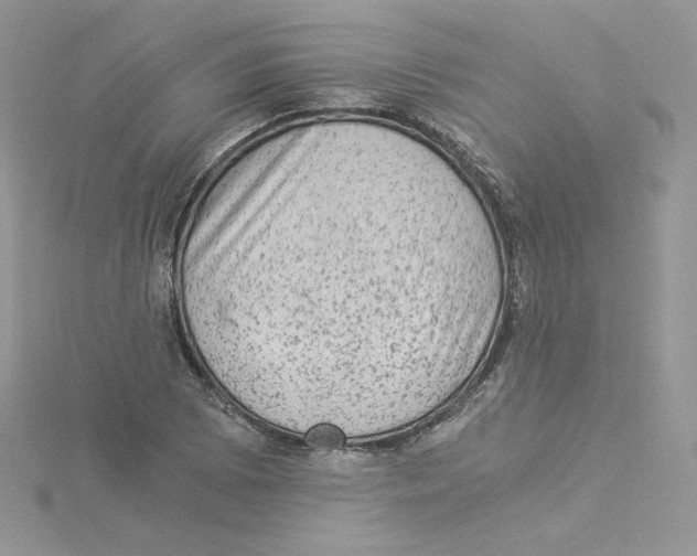 X0000114521073200911161311