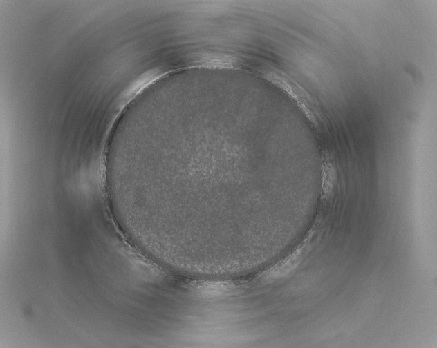 X0000114521074200911161311