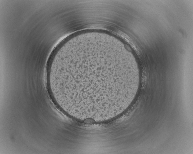 X0000114521076200911161311